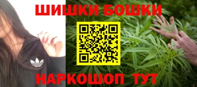 амф Камышлов