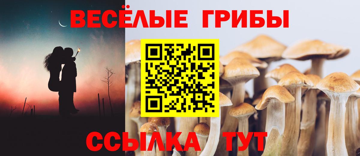 Псилоцибиновые грибы GOLDEN TEACHER Корсаков